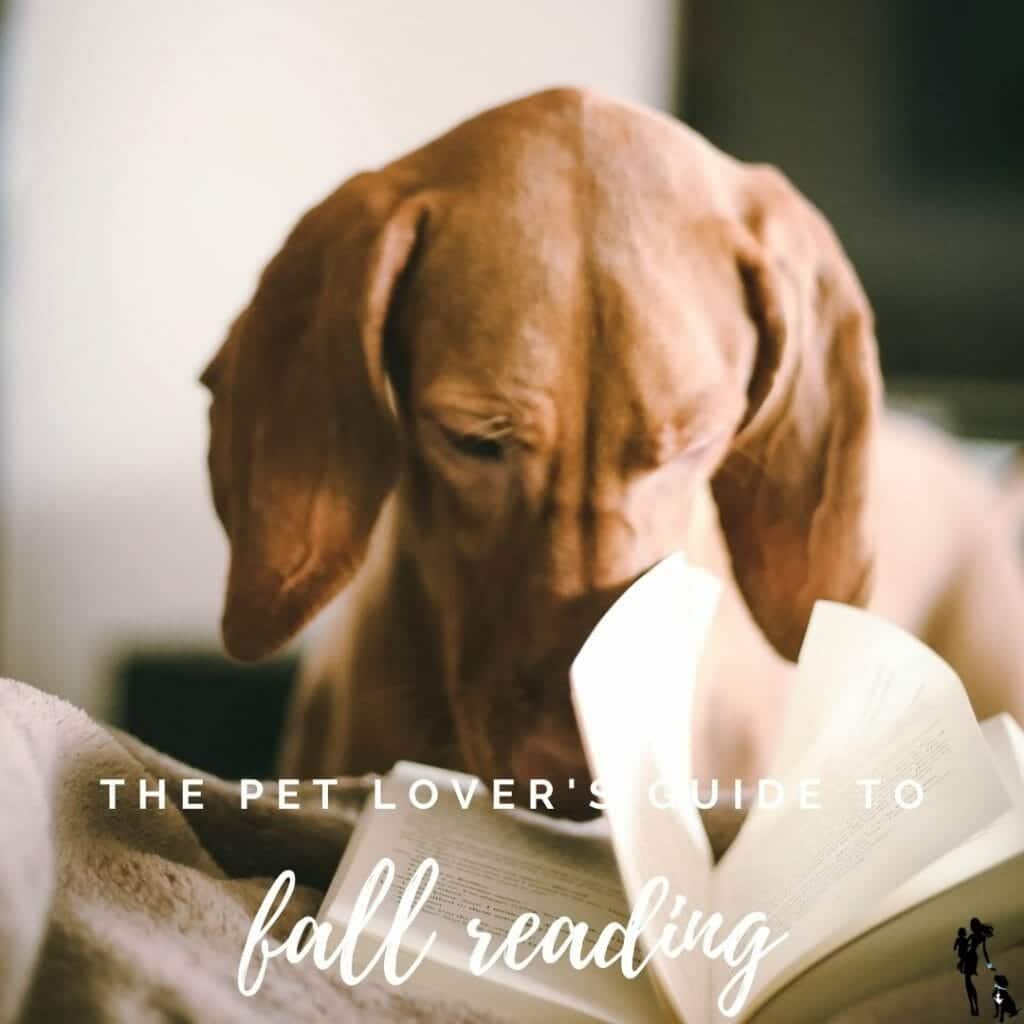 2020 Fall Finding out Info for Pet Lovers