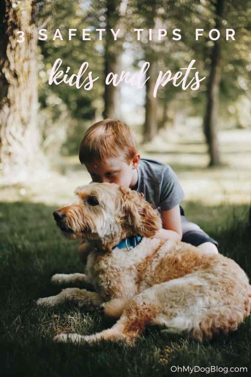 A little boy with shaggy red hair is kissing a golden doodle dog on the top of his head. The pair are sitting in a shady spot of the woods surrounded by trees. The text overlay reads: 3 safety tips for kids and pets.