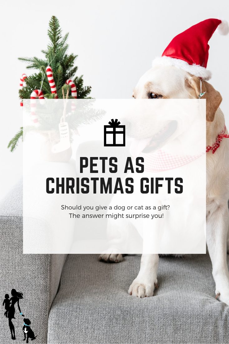 Should you give a dog or cat as a Christmas gift_