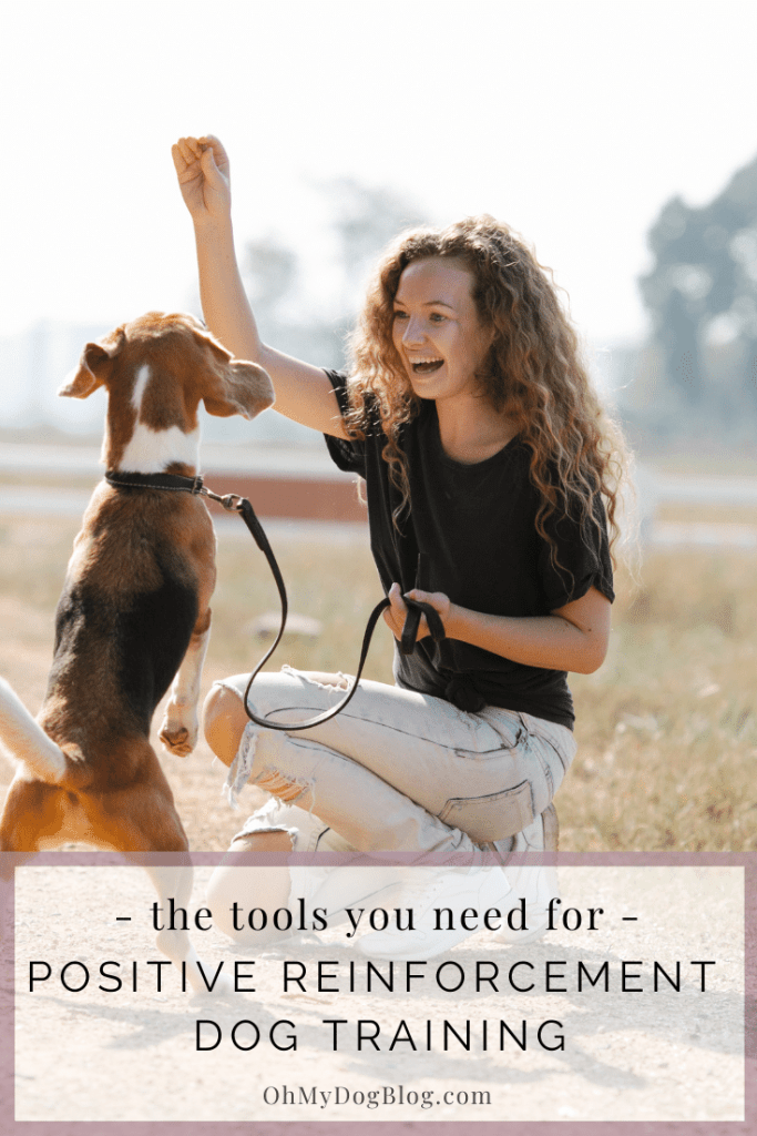 A white woman with long curly light brown hair wearing a black short-sleeved t-shirt and light colored denim jeans with many rips holds a dog treat up in the air with her right arm and loosely holds the handle of a black leather leash in her left hand. In the foreground, a brown and white hound mix leaps up in the air to take the treat. The background appears to be a field like a farm, but it's blurred out to bring the focus on the woman and dog. The text overlay reads: The tools you need for positive reinforcement dog training. 